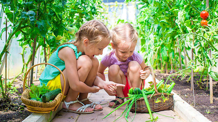 Gardening with Kids - Fresh is Best!